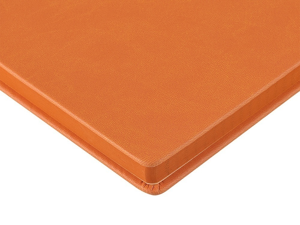 Ежедневник недатированный А6 Megapolis Color