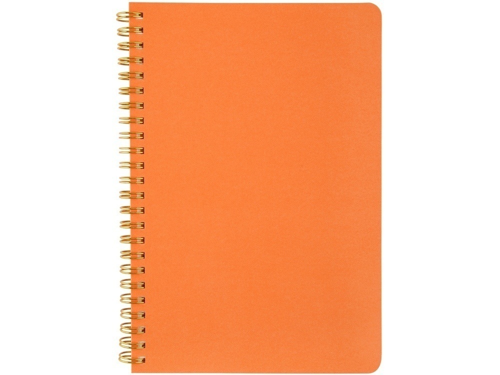 Бизнес тетрадь А5 Pragmatic