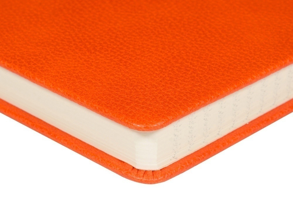 Ежедневник недатированный А5 Megapolis Loft