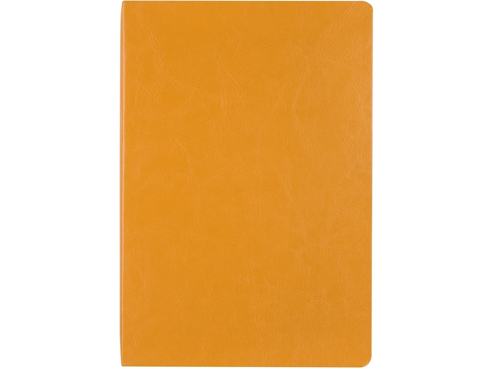 Ежедневник недатированный А5 Megapolis Nebraska Flex