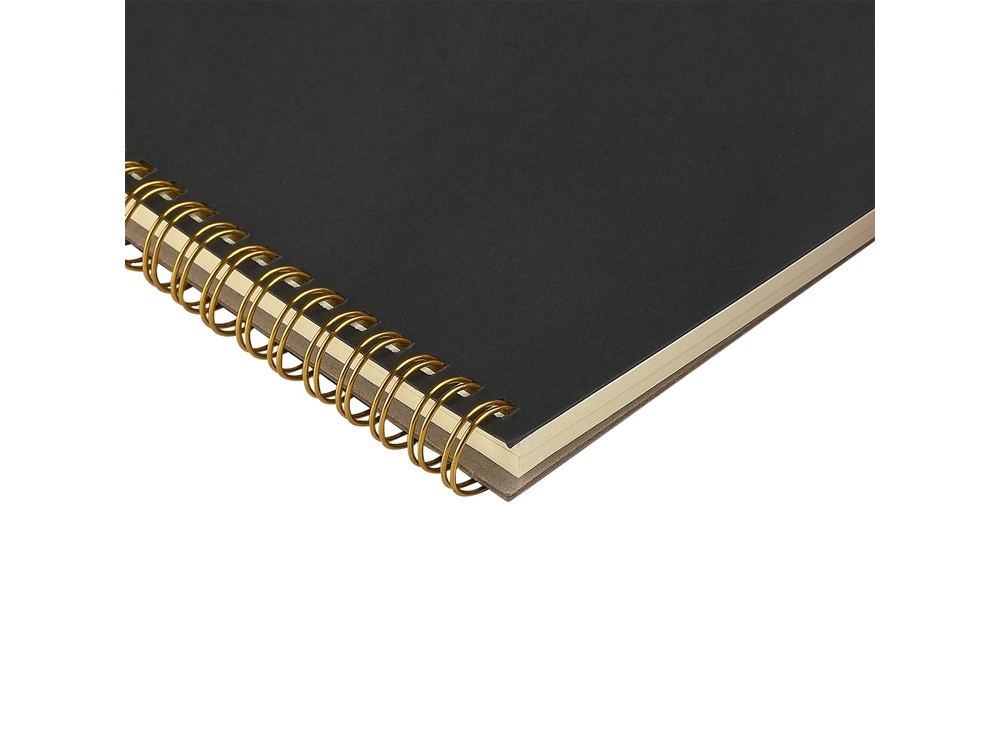 Бизнес тетрадь А5 Pragmatic