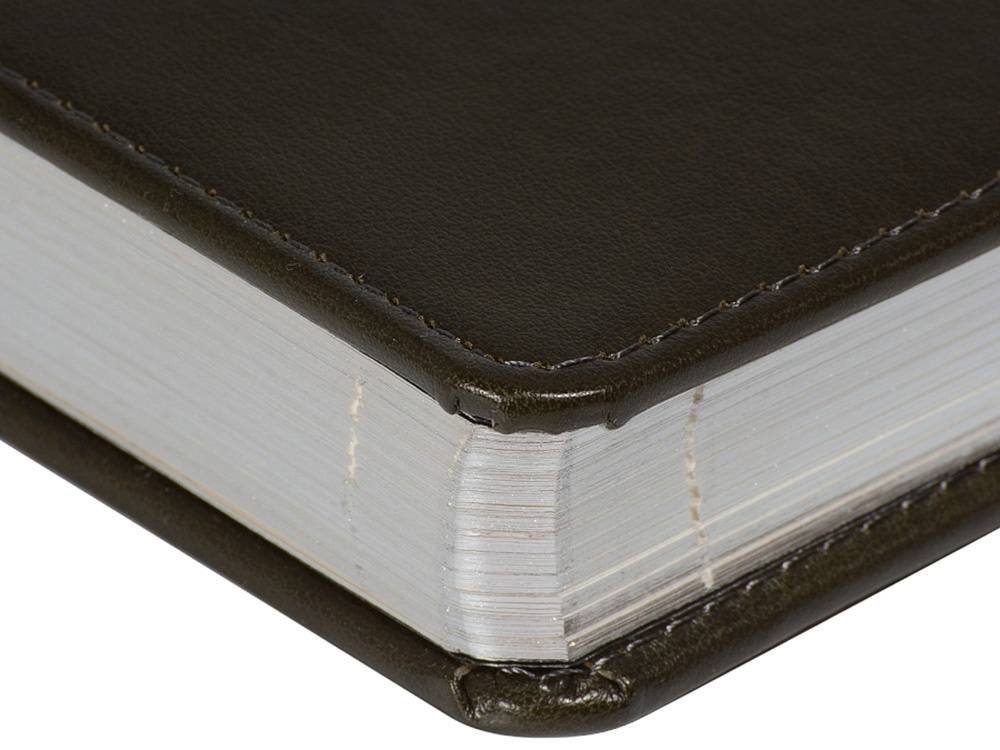 Ежедневник недатированный А5 Parliament