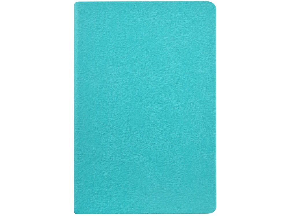 Ежедневник недатированный А6 Megapolis Color