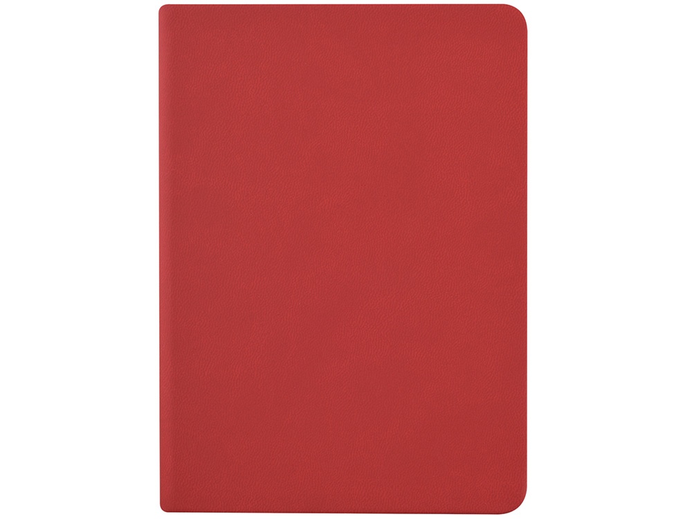 Ежедневник недатированный А6 Megapolis Color