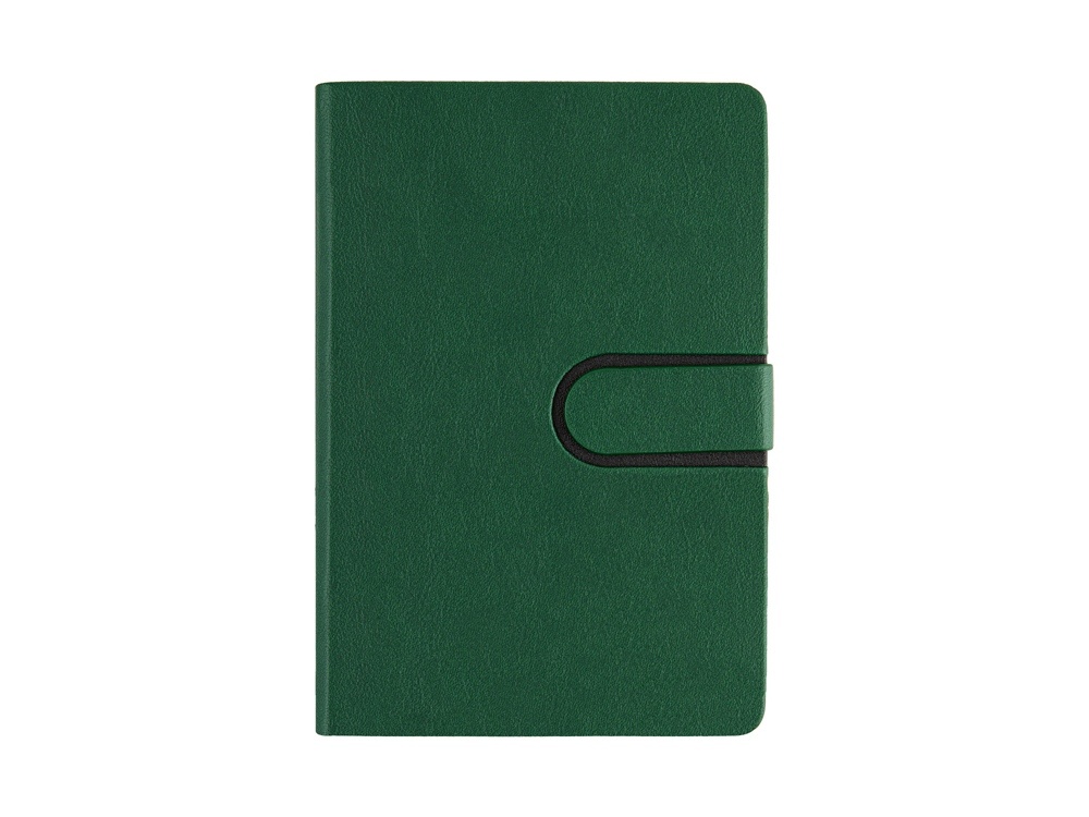 Ежедневник недатированный А5 Status