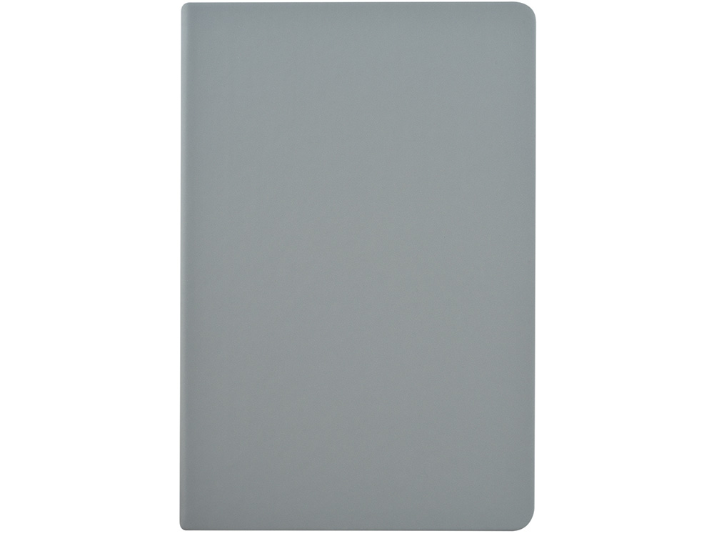 Ежедневник недатированный А6 Megapolis Color