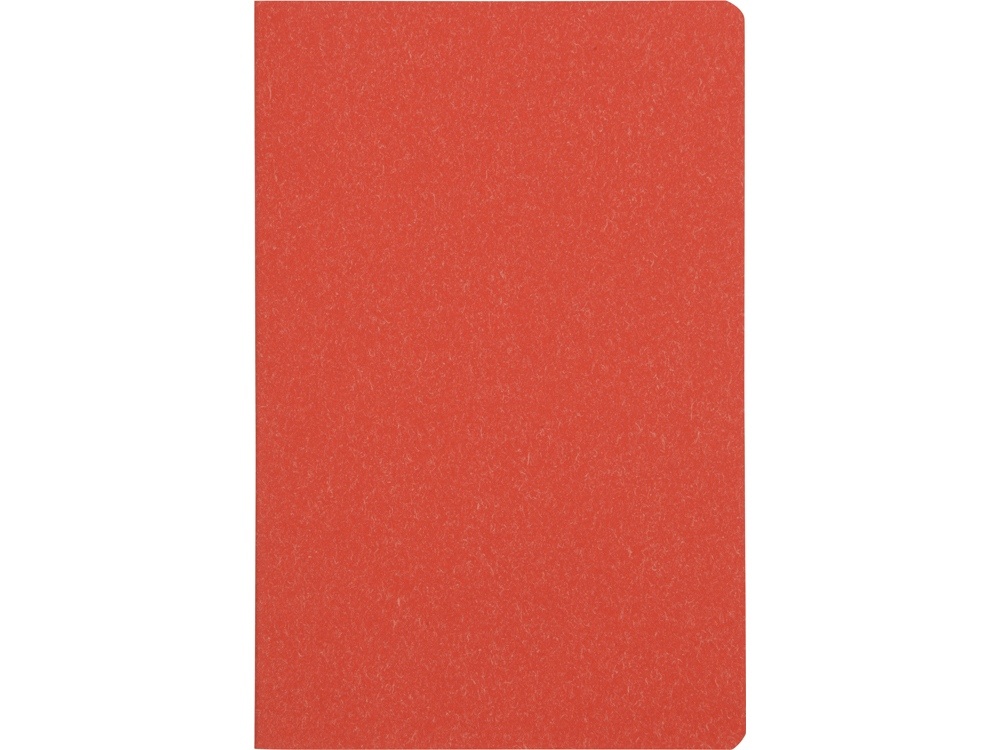 Блокнот А5 Snow