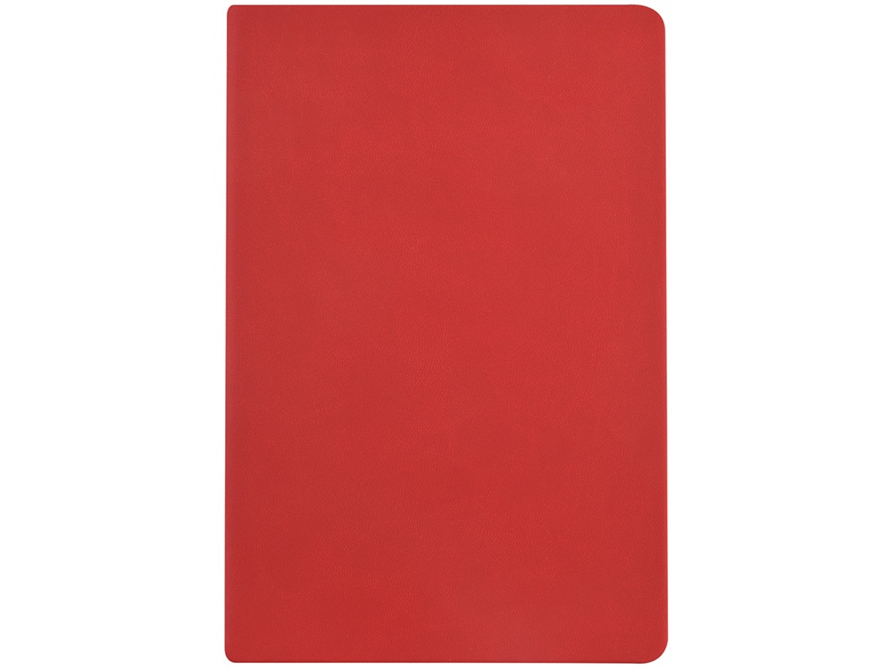 Ежедневник недатированный А6 Megapolis Color