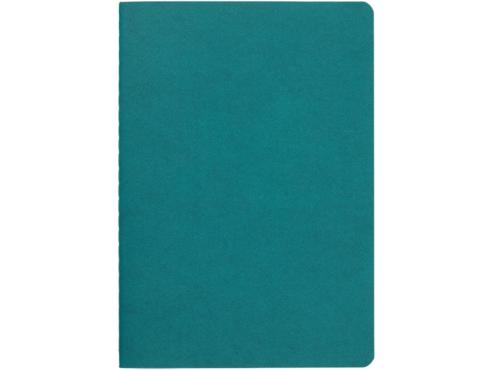 Бизнес тетрадь А5 Pragmatic