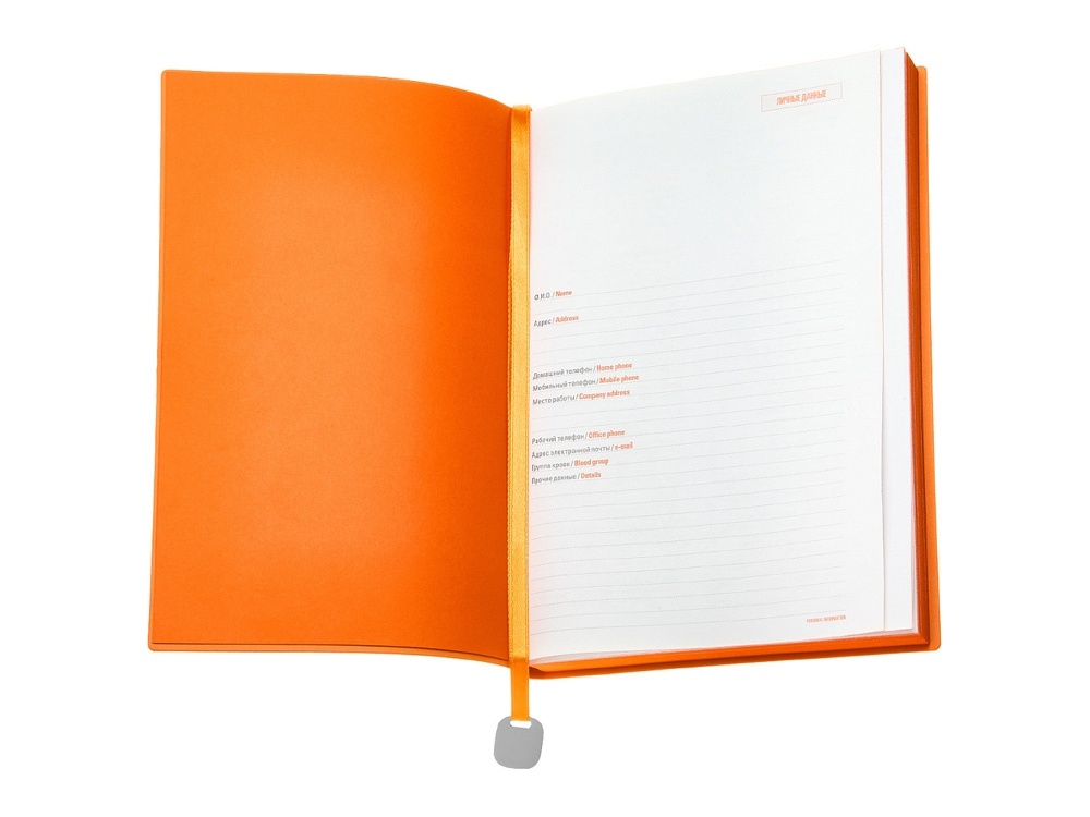 Ежедневник недатированный А5 Mercury