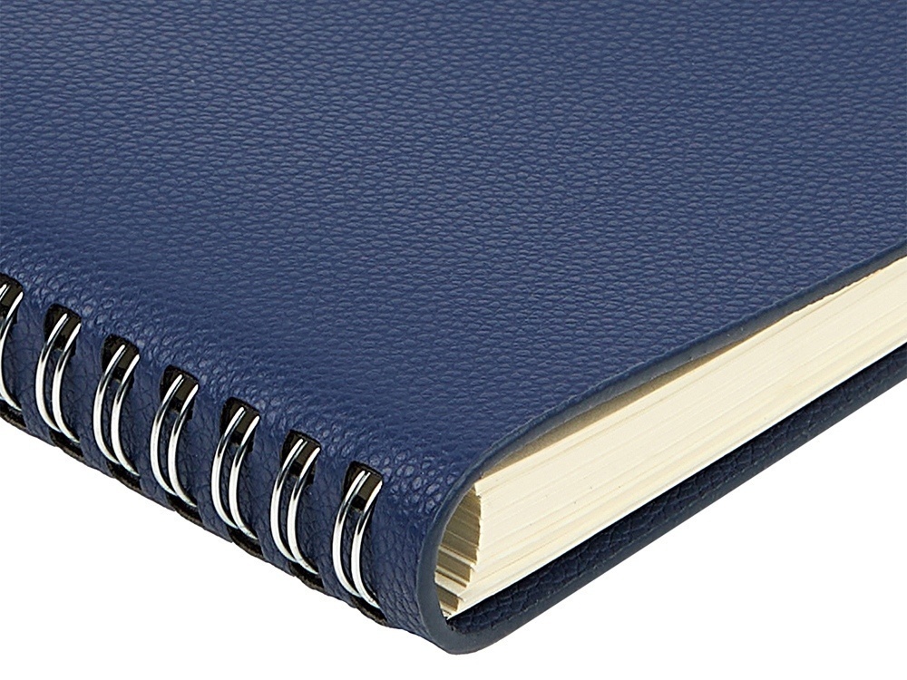 Ежедневник недатированный А5 Alba