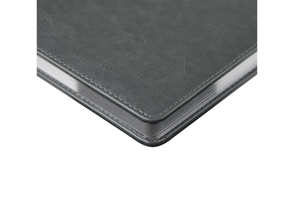 Ежедневник недатированный А6+ Sidney Nebraska с серебряным срезом