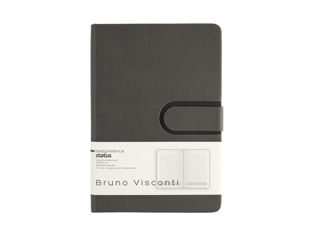 Ежедневник недатированный А5 Status