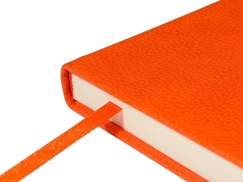 Ежедневник недатированный А5 Megapolis Loft