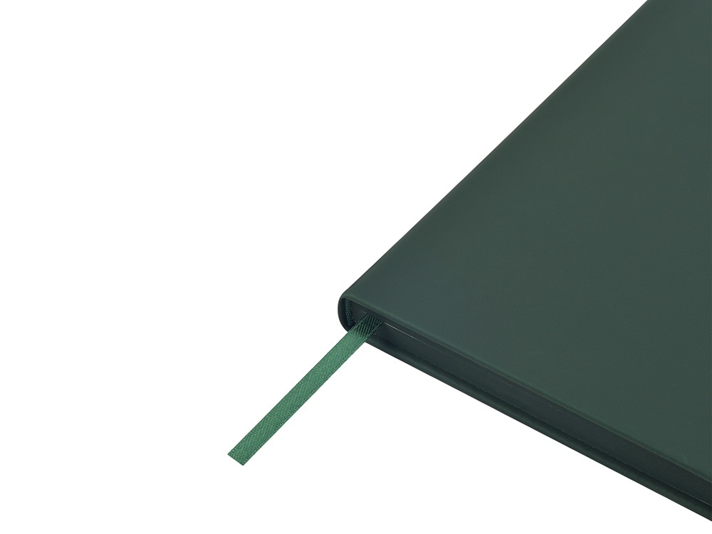 Ежедневник недатированный А6 Megapolis Color