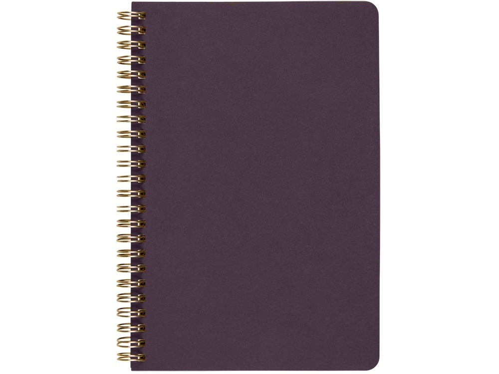 Бизнес тетрадь А5 Pragmatic