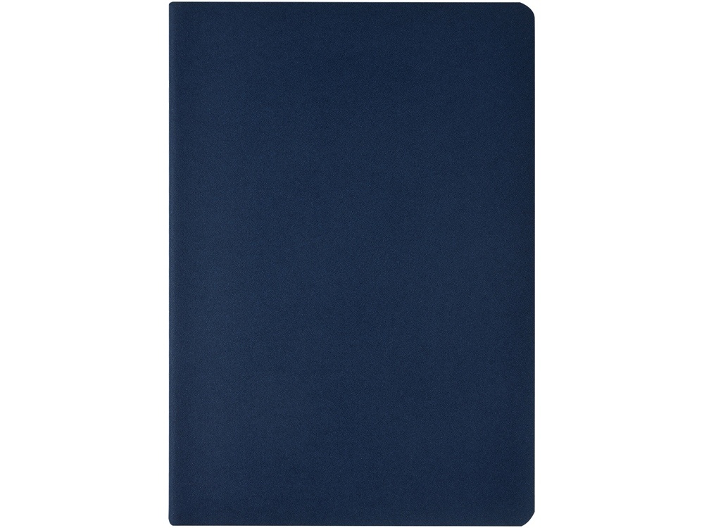 Бизнес-тетрадь А4 Pragmatic