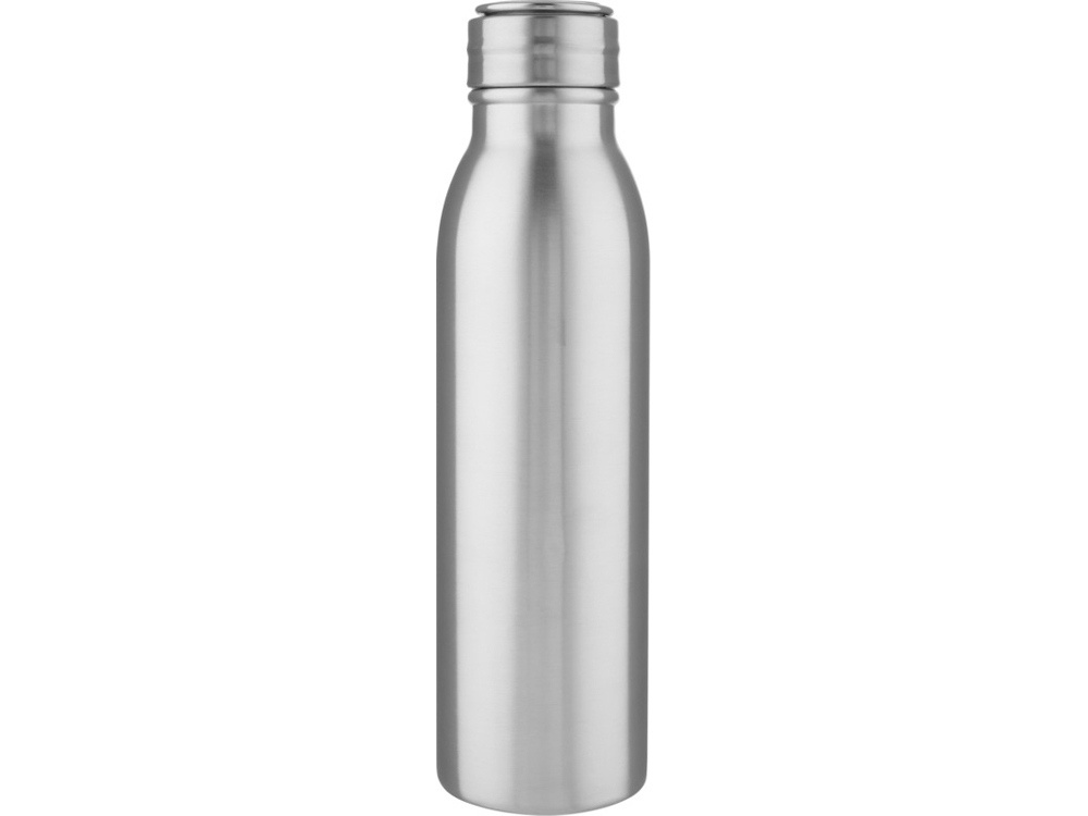 Бутылка спортивная из стали Harper, 700 мл
