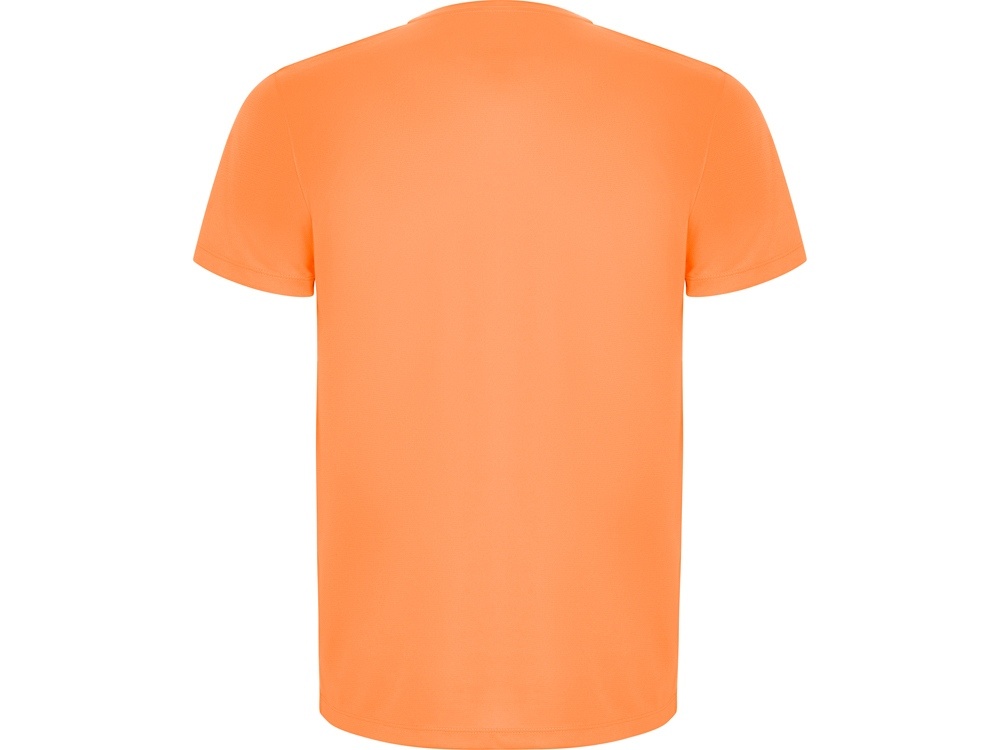 Спортивная футболка Imola мужская