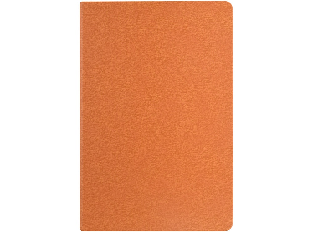 Ежедневник недатированный А6 Megapolis Color